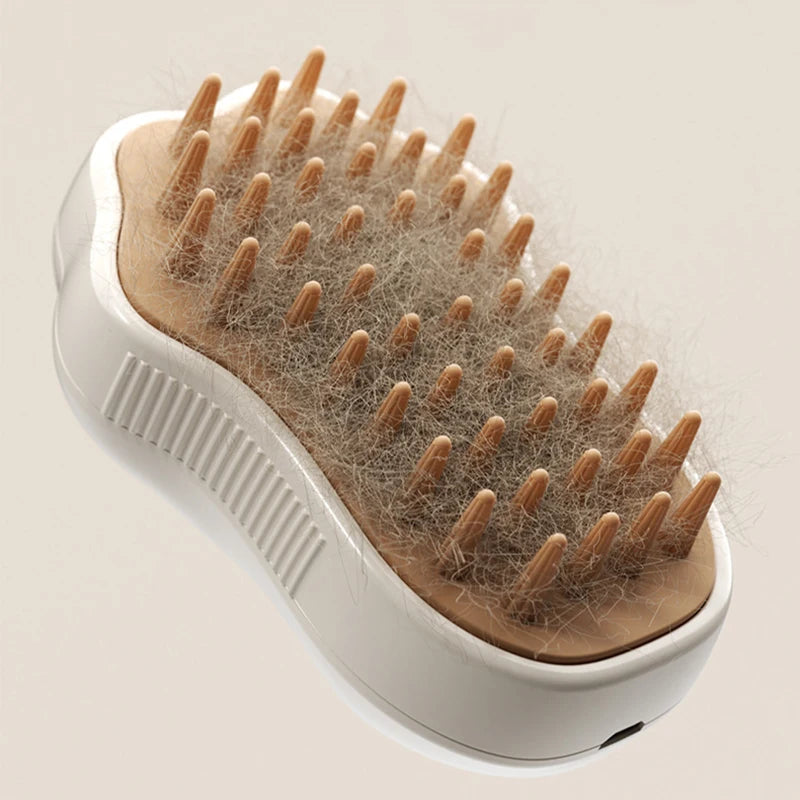 Electric Brush with Spray