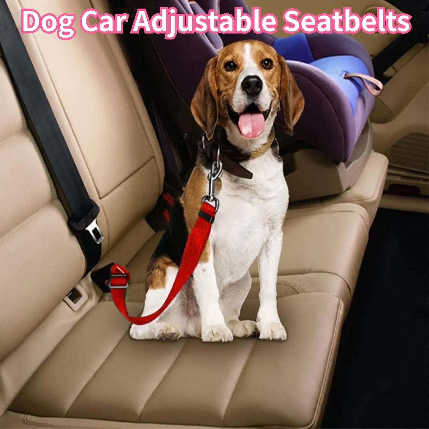 Seat Belt - π¨ Selling fast β secure yours now!