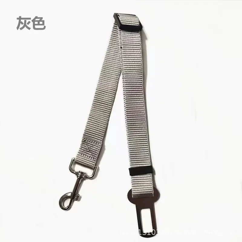 Seat Belt - π¨ Selling fast β secure yours now!