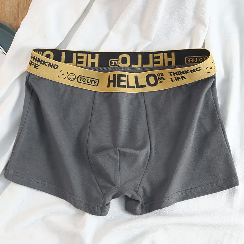 Basic Cotton Boxer Briefs – Plus Size Breathable Underwear Lingerie