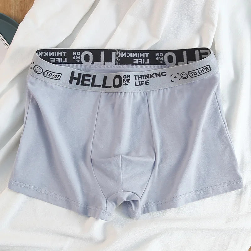 Basic Cotton Boxer Briefs – Plus Size Breathable Underwear Lingerie