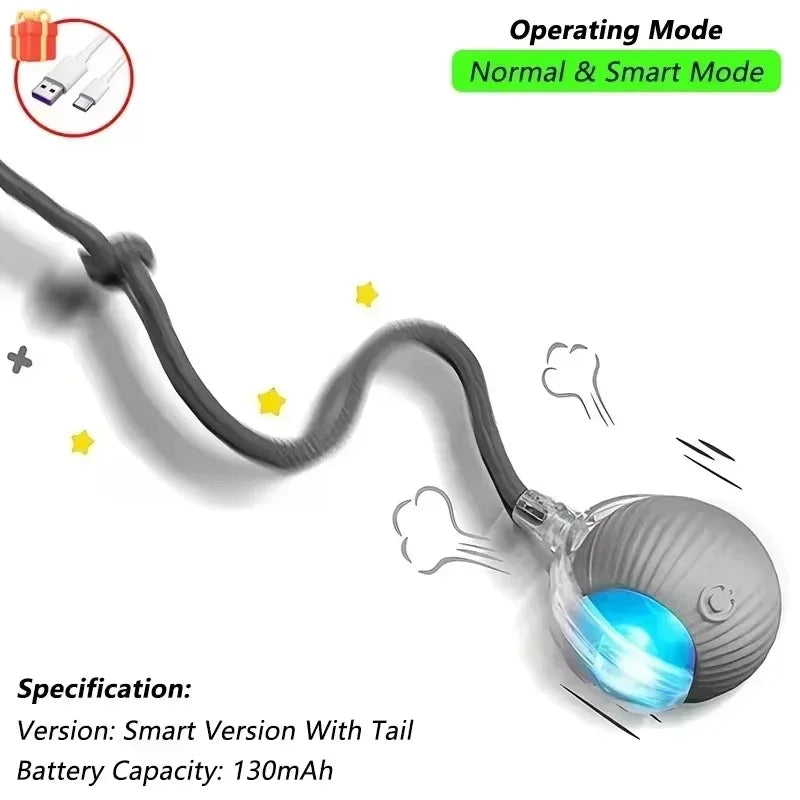 Ball Toy