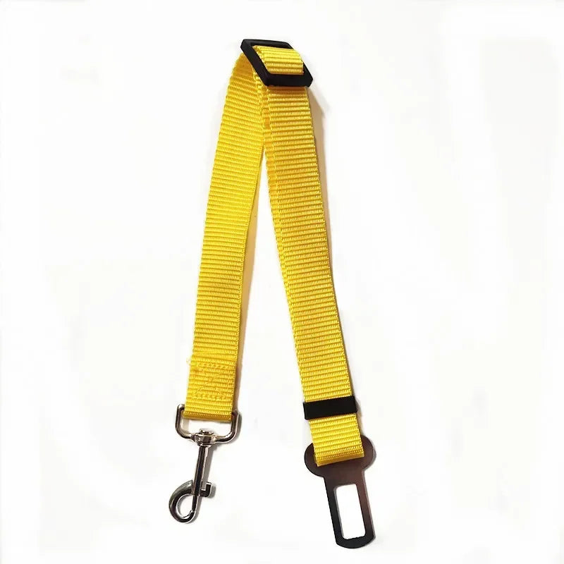 Seat Belt - π¨ Selling fast β secure yours now!