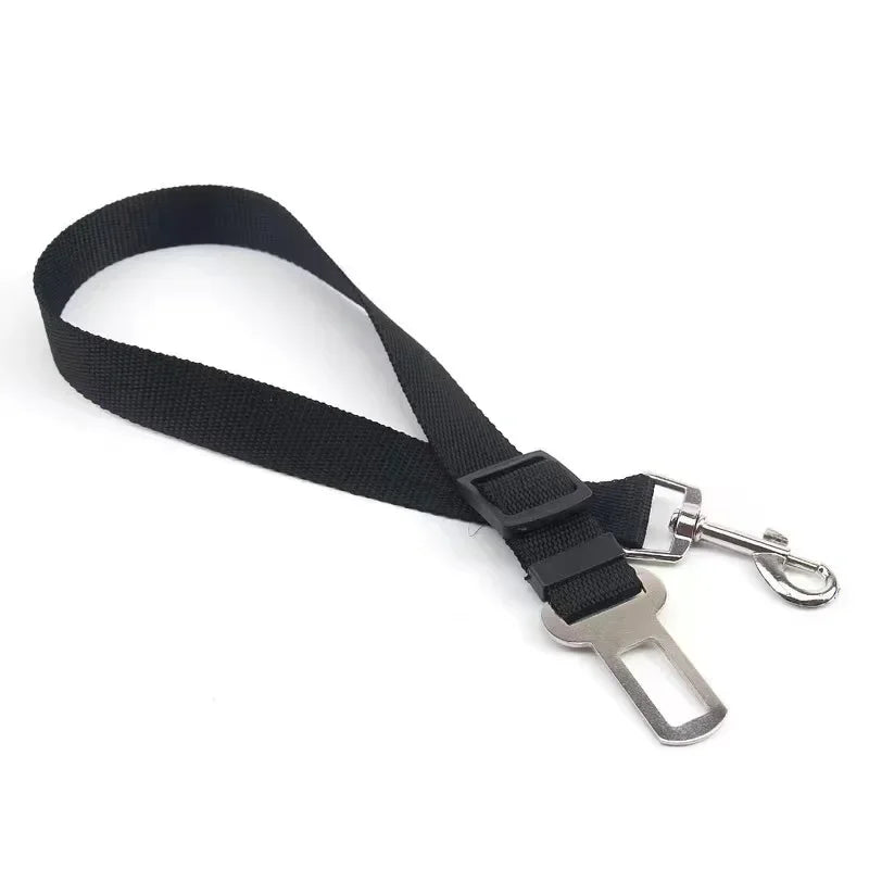 Seat Belt - π¨ Selling fast β secure yours now!