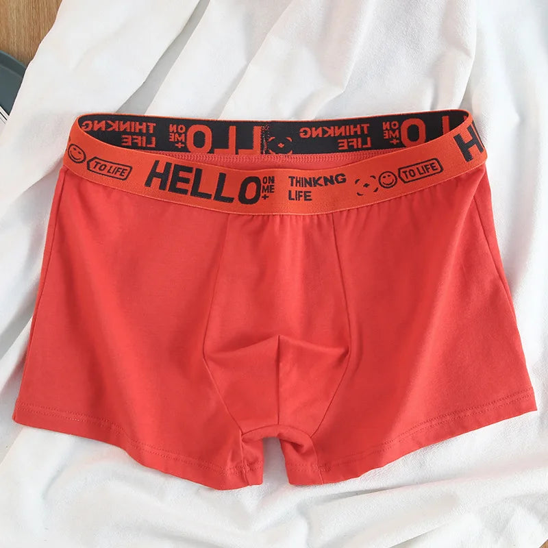 Basic Cotton Boxer Briefs – Plus Size Breathable Underwear Lingerie