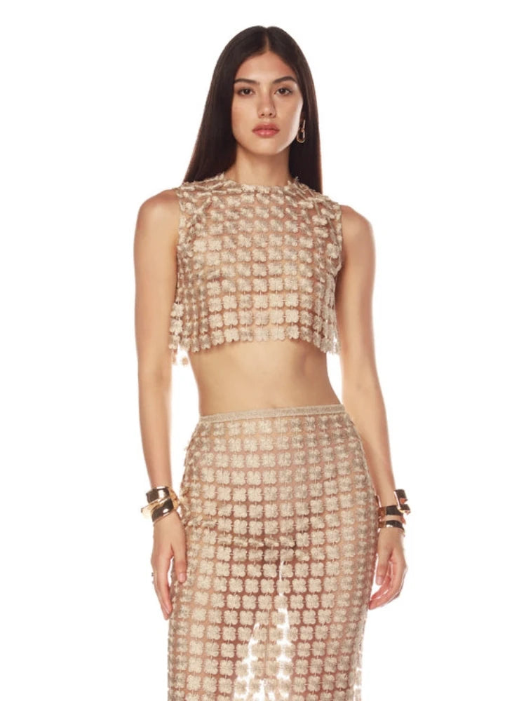 Champagne Hollow Crop Top & Skirt