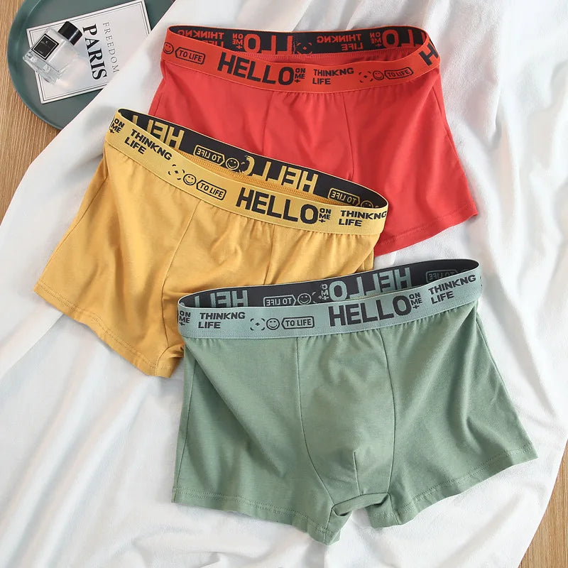 Basic Cotton Boxer Briefs – Plus Size Breathable Underwear Lingerie