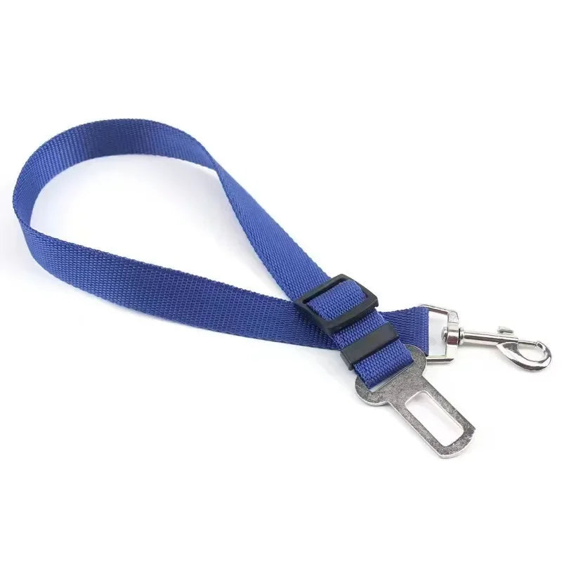 Seat Belt - π¨ Selling fast β secure yours now!