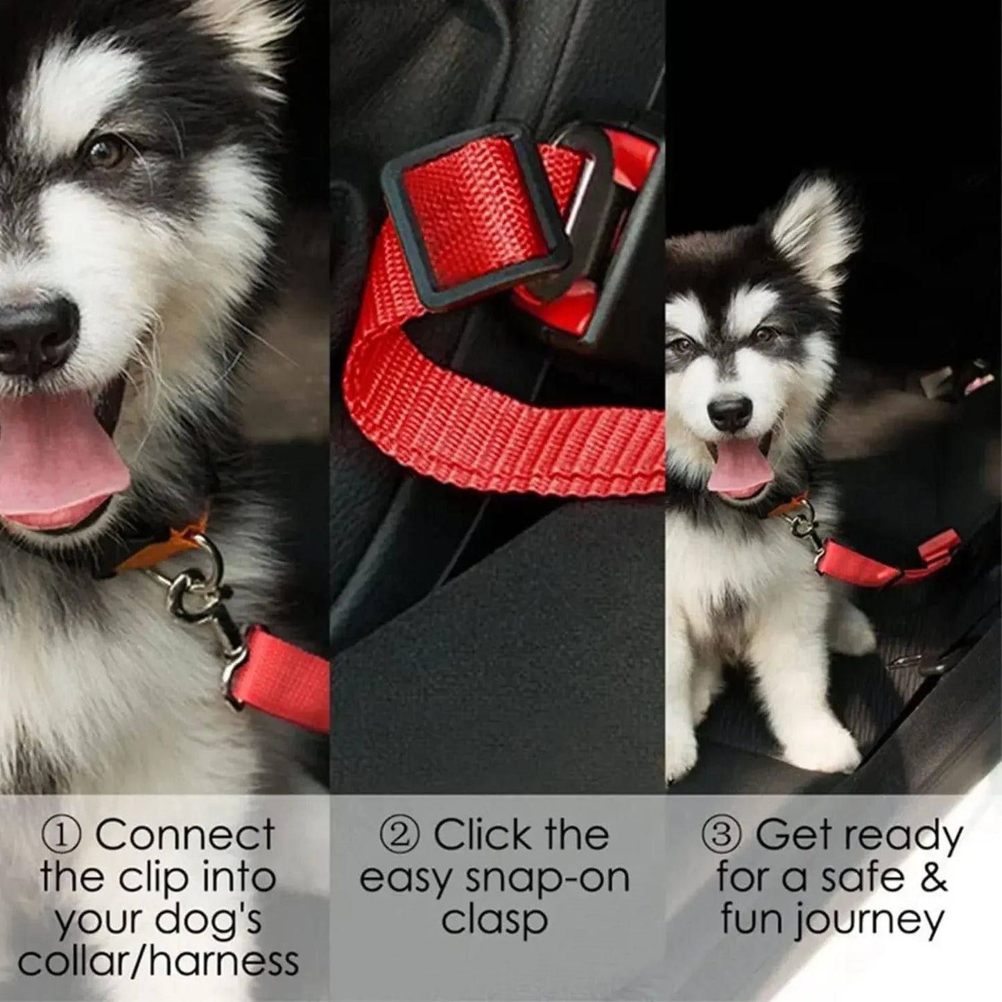 Seat Belt - π¨ Selling fast β secure yours now!