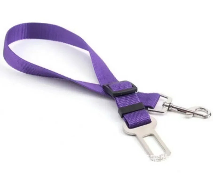 Seat Belt - π¨ Selling fast β secure yours now!