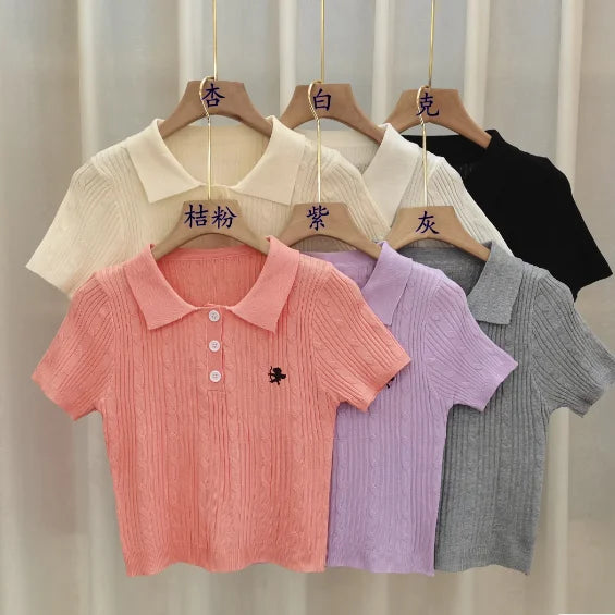 Embroidered Polo T-shirt — Retro Slim Fit Knit Top