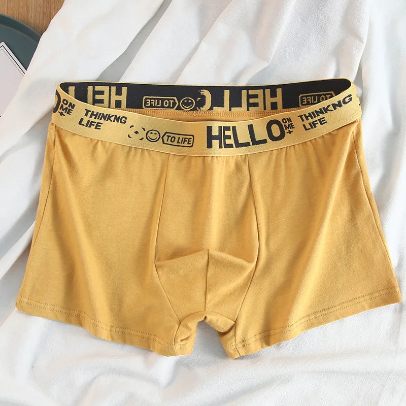 Basic Cotton Boxer Briefs – Plus Size Breathable Underwear Lingerie