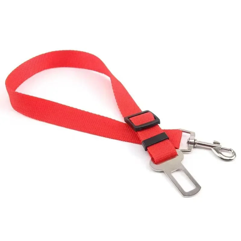Seat Belt - π¨ Selling fast β secure yours now!