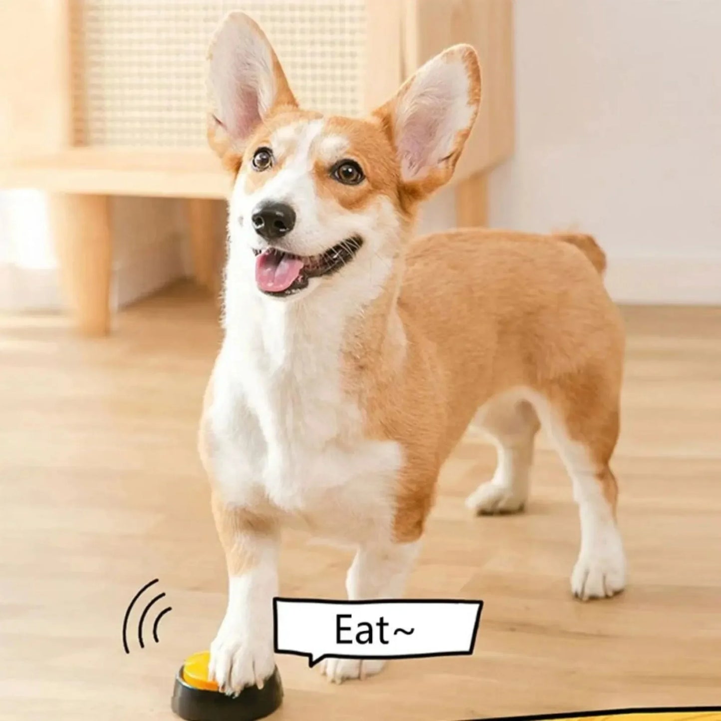 Pet Training Voice Recording Button 30 Second