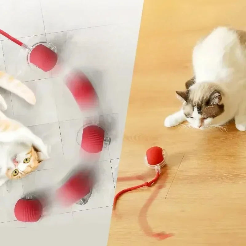 Ball Toy
