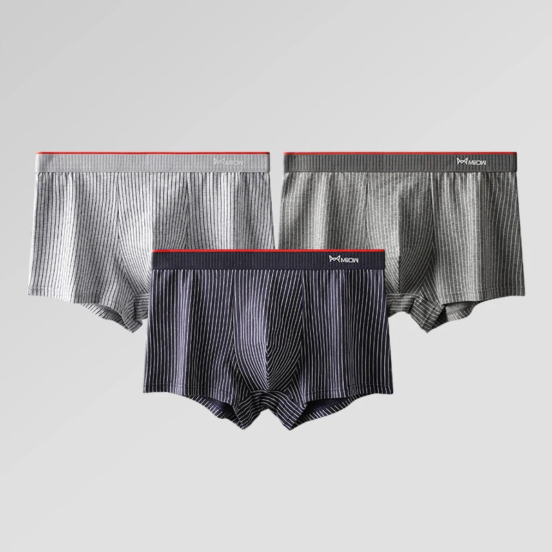 Organic Cotton Boxer Shorts – 3/4-Pack Striped Antibacterial Seamless Underpants (Up to 5XL)