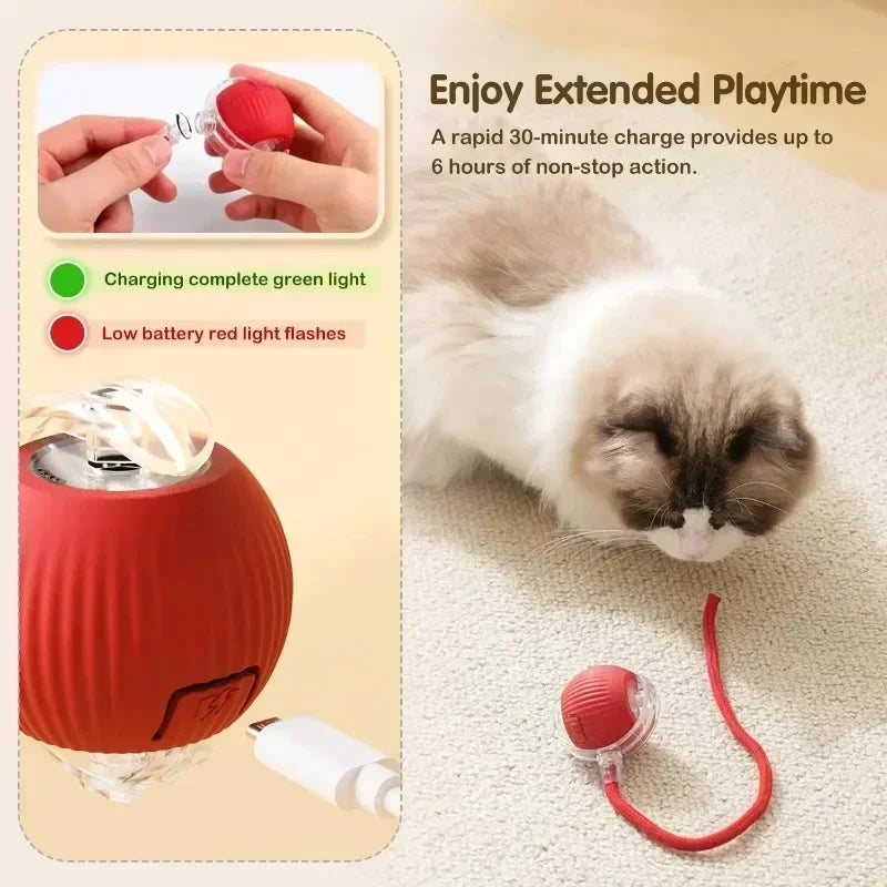Ball Toy