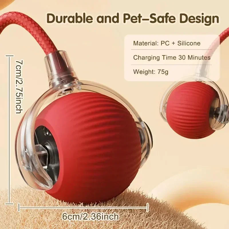 Ball Toy