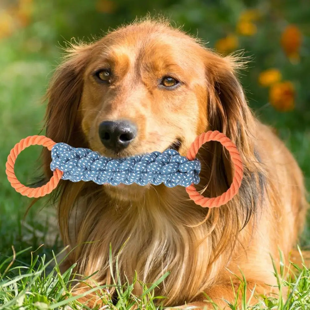 Double-Ring Rope