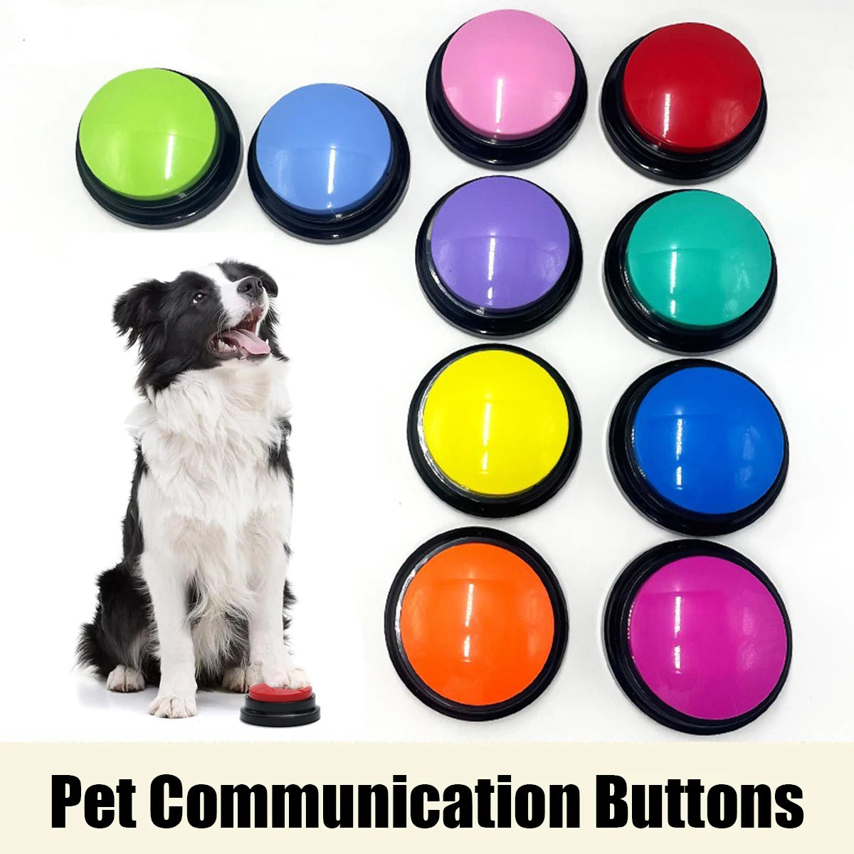 Pet Training Voice Recording Button 30 Second