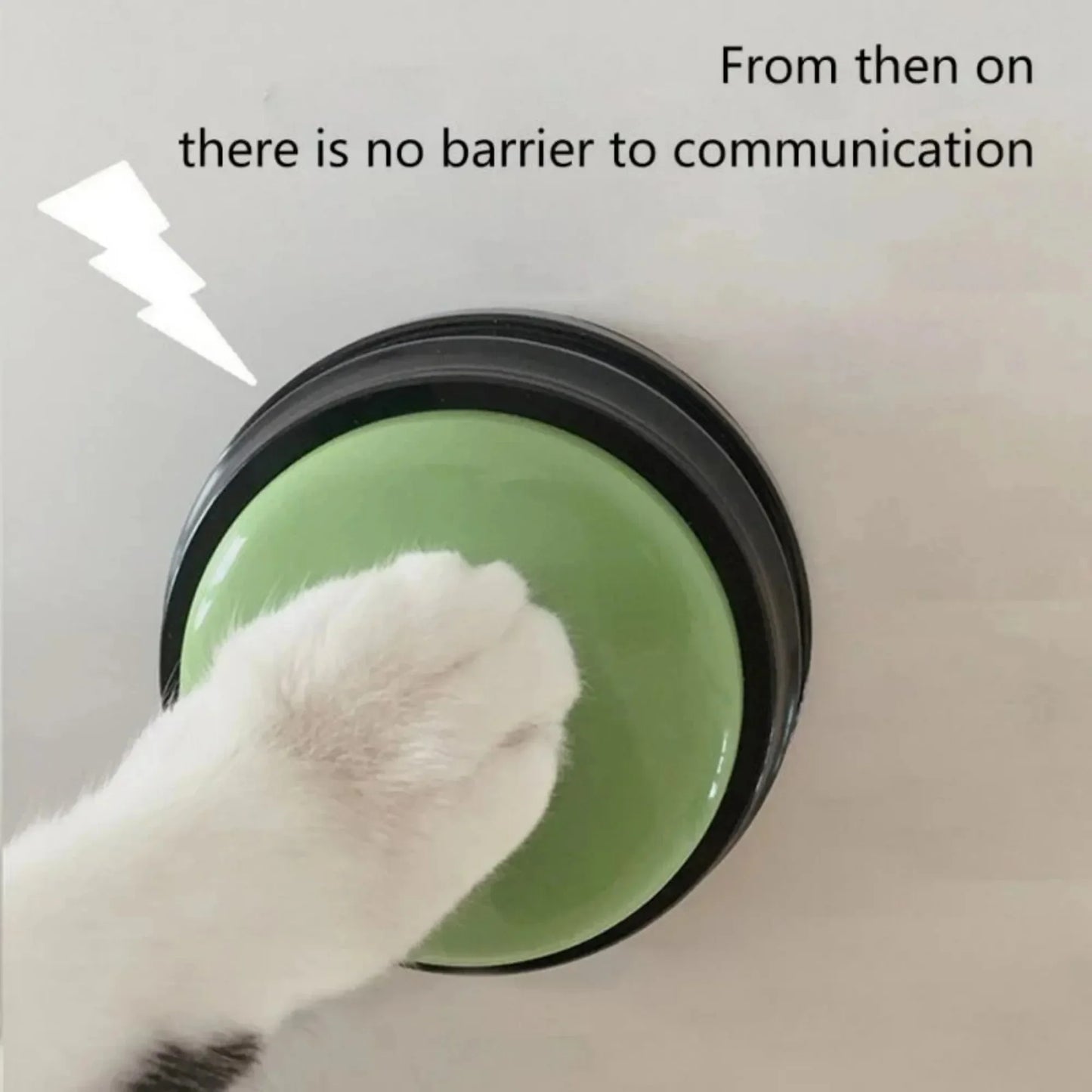 Pet Training Voice Recording Button 30 Second