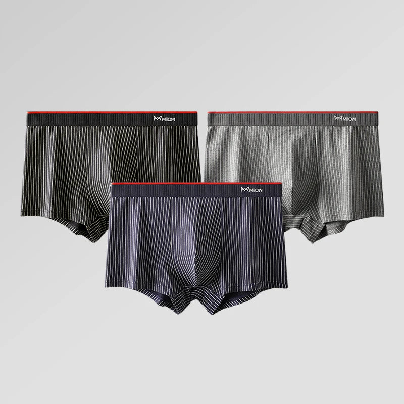 Organic Cotton Boxer Shorts – 3/4-Pack Striped Antibacterial Seamless Underpants (Up to 5XL)