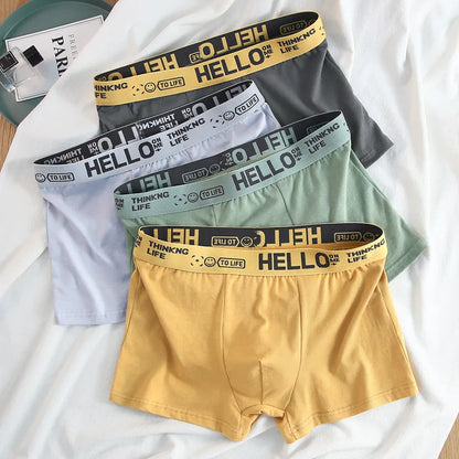 Basic Cotton Boxer Briefs – Plus Size Breathable Underwear Lingerie