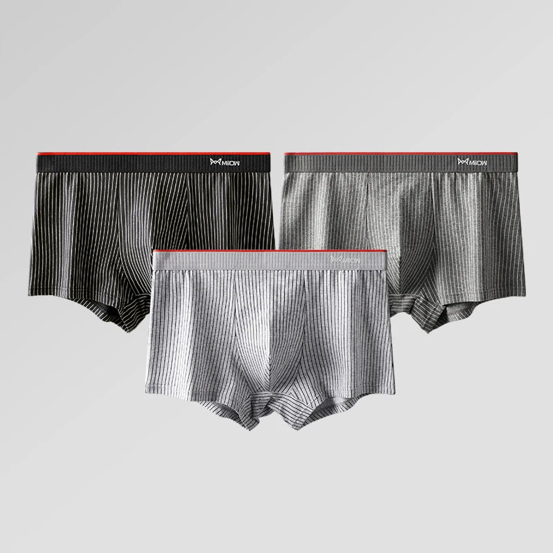 Organic Cotton Boxer Shorts – 3/4-Pack Striped Antibacterial Seamless Underpants (Up to 5XL)