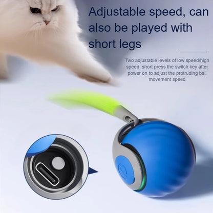 Interactive ball